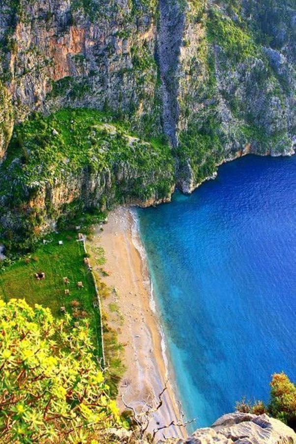 Green Forest Holiday Village Ölüdeniz Exterior foto